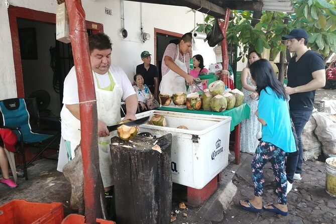 1 to 6 Passengers Vallarta Private City Tour - Stop 4 and 5: Los Arcos de Mismaloya + Mismaloya