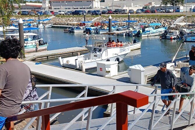 3 Hours of Whale Watching in Puerto Vallarta - The Whale Search Pattern: Toward Nayarit, Inside the Bay