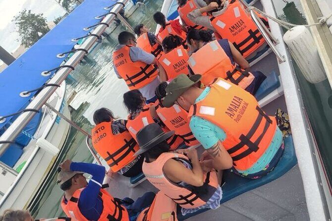 3 Hours of Whale Watching in Puerto Vallarta - The Comfort Factor: Sun, Spray, and Seating You Can Feel