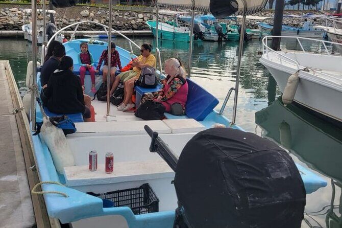 3 Hours of Whale Watching in Puerto Vallarta - Price and Port Fees: Is $55 Worth It?