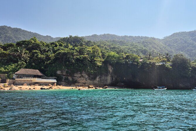 3 hours private snorkeling tour in Misaloya, Puerto Vallarta - Island boat time and wildlife spotting (blue-footed boobies)