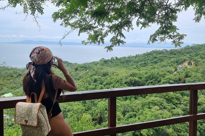 4-Hour Jungle Hike and Waterfall Swim - Price and Value: $35 for a Real Jungle Day