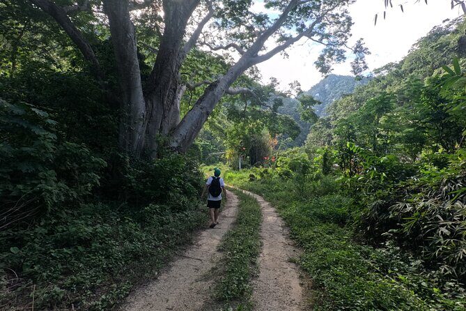 Adventure route: Hike to Cascada Escondida - Snack and hydration breaks that actually matter