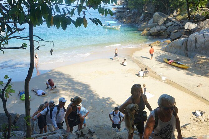 All-inclusive Colomitos cruise and Animas beach snorkeling - What to Pack and How to Get More From the Day