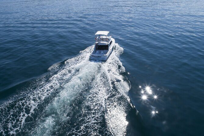 Bertram 38' Convertible Boat in Puerto & Nuevo Vallarta - Stop 2: The Wildlife Rock Stop for Snorkeling and Views