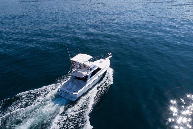Bertram 38' Convertible Boat in Puerto & Nuevo Vallarta - Price and Value for a Private Group Up to 8