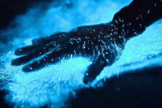 Bioluminescence & sunset local boat tour to Los Arcos Sanctuary - Key things to know before you go