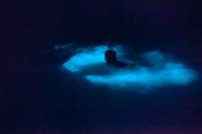 Bioluminescence & sunset local boat tour to Los Arcos Sanctuary - Glow-in-the-dark swimming at Los Arcos (the main event)