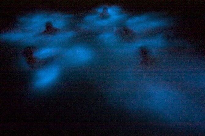 Bioluminescence & sunset local boat tour to Los Arcos Sanctuary - Wildlife bonuses: whales, sea turtles, and seabirds on the way