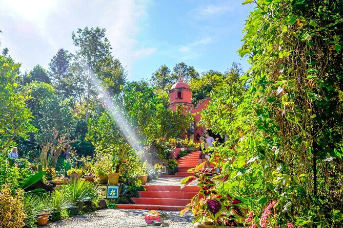 Botanical Garden: Private Day Trip of Flora & Fauna in Vallarta. - Door-to-door pickup in Banderas Bay (and why it matters)