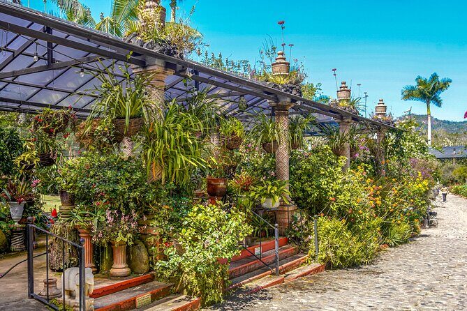 Botanical Garden: Private Day Trip of Flora & Fauna in Vallarta. - Vallerta Botanical Gardens: the main attraction for plant lovers