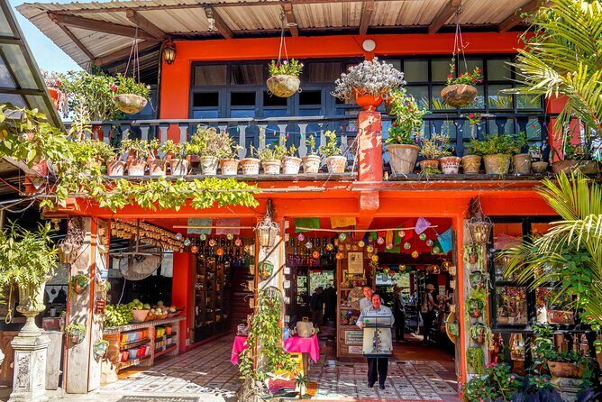 Botanical Garden: Private Day Trip of Flora & Fauna in Vallarta. - Optional seasonal swim in the river trails (bring the right gear)