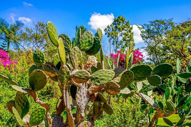 Botanical Garden: Private Day Trip of Flora & Fauna in Vallarta. - Bastón del Rey tequila stop: a calmer way to taste blue agave