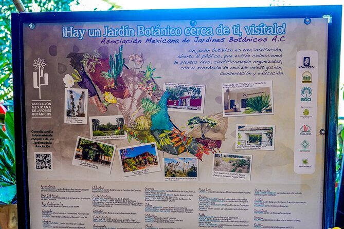 Botanical Garden: Private Day Trip of Flora & Fauna in Vallarta. - Timing that actually works for a half-day nature plan
