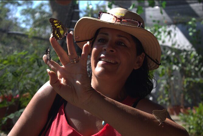 Butterflies, City tour, tequila, and beach (kids free) - Key things to know before you go