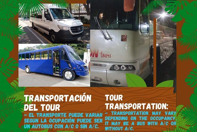 Butterflies, City tour, tequila, and beach (kids free) - A half-day mix of PV sights, butterflies, tequila, and beach