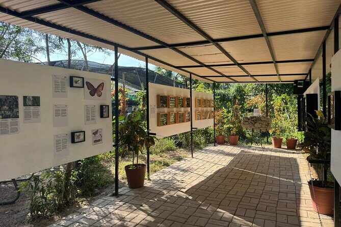 Butterfly Sanctuary, Museum & Lunch with Transport - Lunch in Puerto Vallarta: a traditional meal after the sanctuary