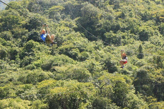 Canopy River Zipline Tour and Mule Ride - Price and value: what you’re paying for at $120