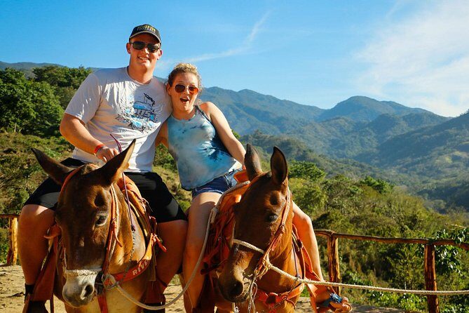 Canopy River Zipline Tour and Mule Ride - Between the ziplines: the hike you should not ignore