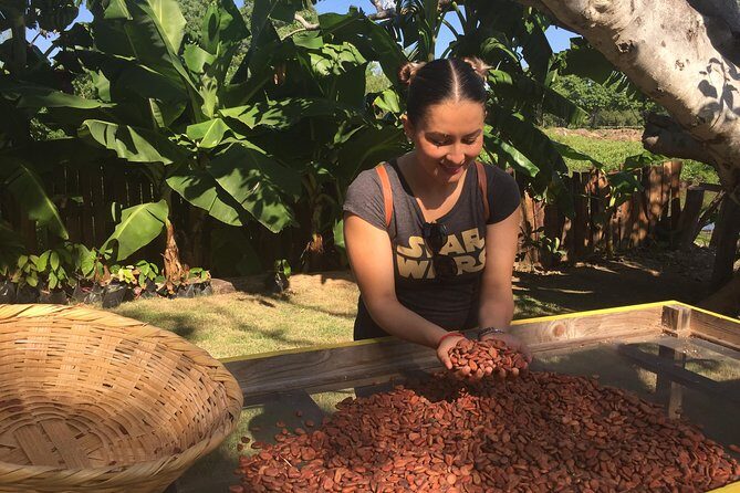 Chocolate Tour in Vallarta - Included Snacks and Drinks: What’s Actually on the Table