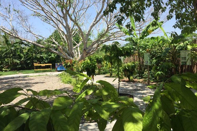 Chocolate Tour in Vallarta - Private Tour Value: Why the Small-Group Feel Matters