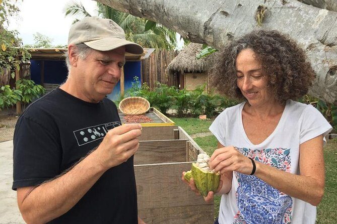 Chocolate Tour in Vallarta - Transportation and Timing: The Real-Life Logistics