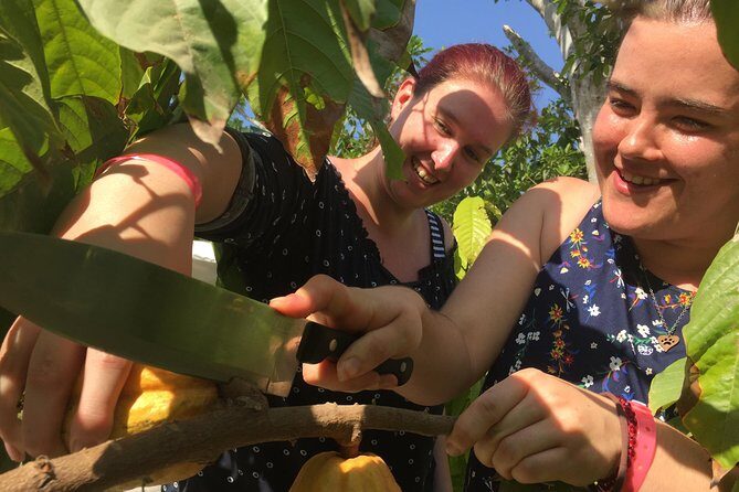 Chocolate Tour in Vallarta - What Type of Traveler Should Book This