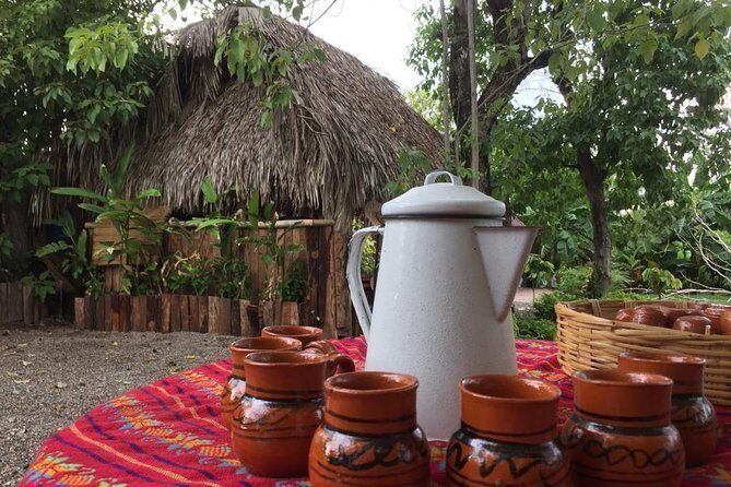 Chocolate Tour in Vallarta - Arriving at the Meeting Point: What to Expect in the Rural Setting