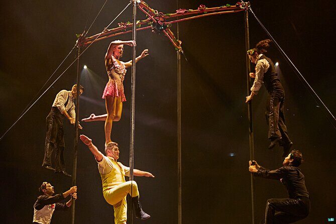 Cirque du Soleil LUDÕ — New Nayarit - Price and value: what $140.48 really buys you