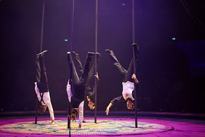 Cirque du Soleil LUDÕ — New Nayarit - Getting there from Puerto Vallarta: parking is included, and taxis are easy