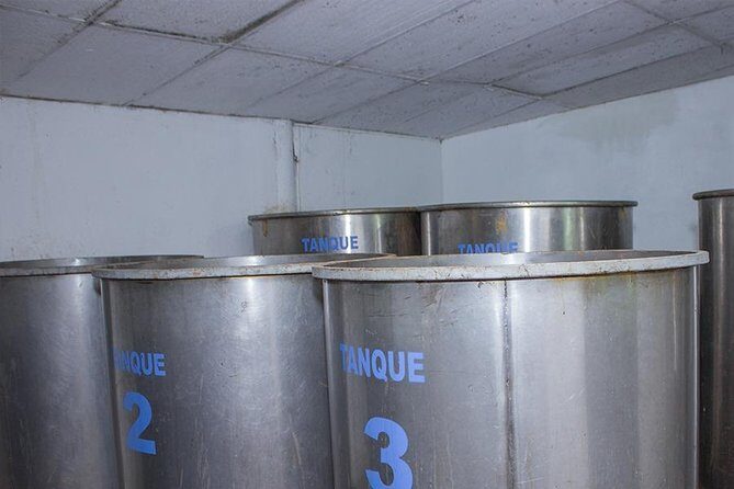 City and Tequila Tour in Puerto Vallarta - Rancho Verano Tequila Factory: What the Tasting Covers (and What to Expect)