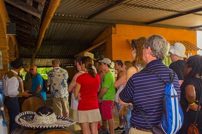 City and Tequila Tour in Puerto Vallarta - The Real-World Value: Price, Pickup, and Group Size