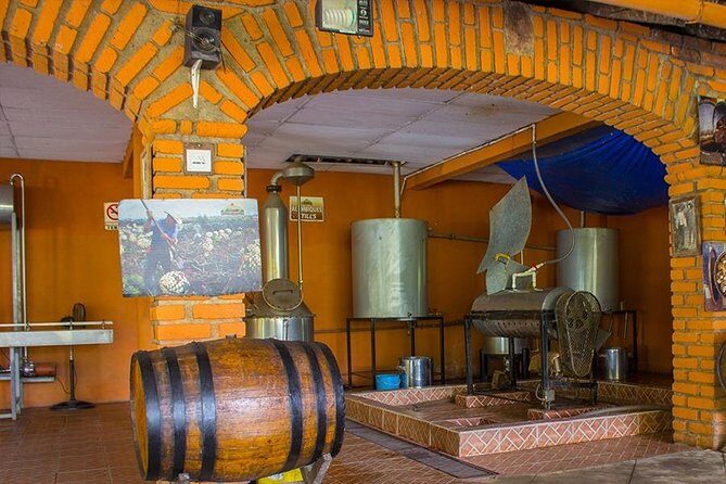 City and Tequila Tour in Puerto Vallarta - Lunch, Optional Add-Ons, and the One Budget Surprise