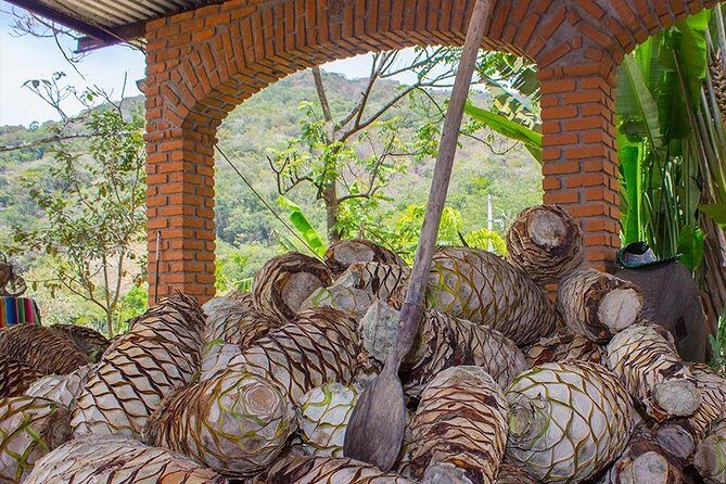 City and Tequila Tour in Puerto Vallarta - Los Arcos on the Malecón: A Photo Stop That Actually Gets You Moving