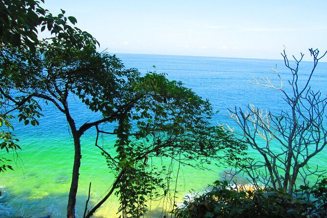Coastal Adventure in Quimixto : Hiking and Cooking Workshop - Why Quimixto Feels Like a Reset From Puerto Vallarta