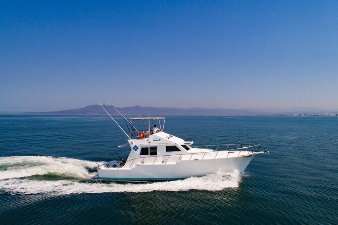 Custom 46' Boat in Puerto & Nuevo Vallarta - Whale and Dolphin Watching (Plus a Certificate)