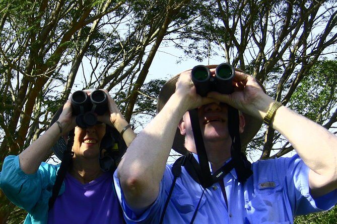 Desembocada and Ameca River Bird Paradise (Wetland and Tropical birds in PV) - The Guides: Michael, Cynthia, and the Bird-Finding Playbook