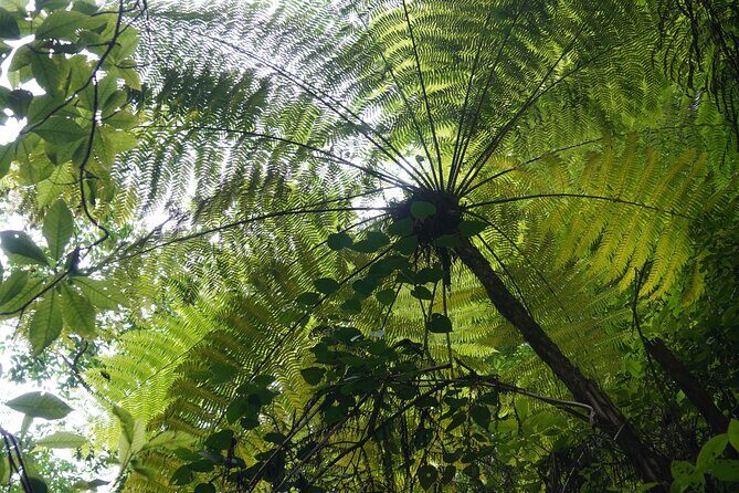 El Nogalito Mountain River- Hiking Tour - Fairy Portal stop: a story-moment inside the hike