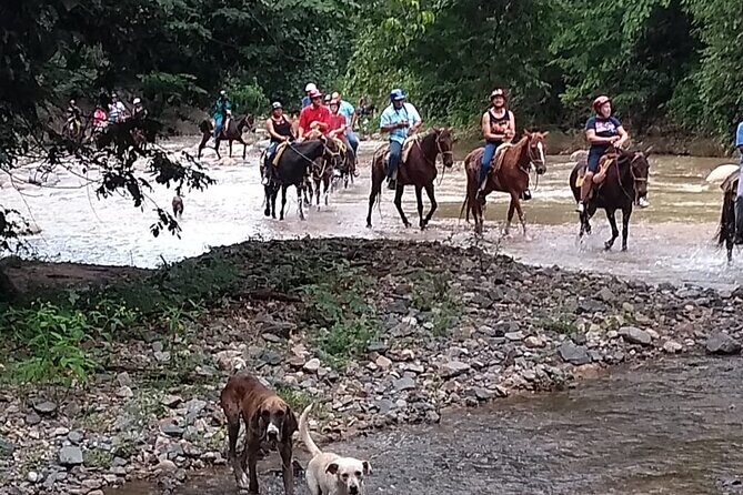 Experience 3 in 1 - Horse Riding, Zipline & ATV Shared - ATV jungle rivers: fun if you’re ready for tight trails and instruction
