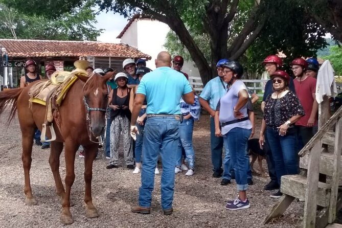 Experience 3 in 1 - Horse Riding, Zipline & ATV Shared - Zipline canopy circuit with 7 lines: what makes it worth the effort