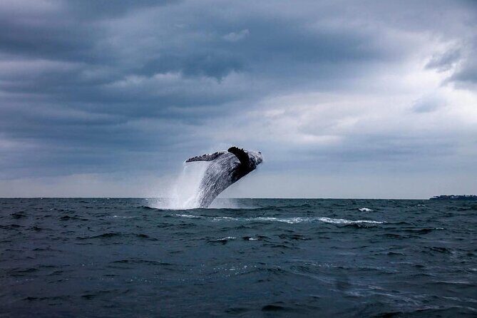 Famous Pato Bobo Adventure Boat - Gear, guide energy, and the little things that save your trip