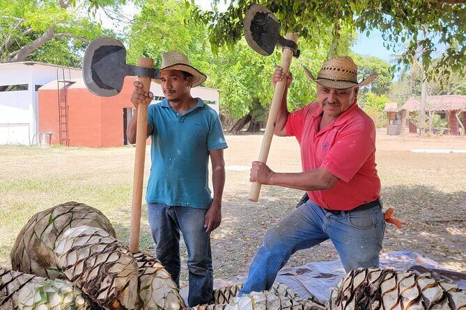 Finca 18 Puerto Vallarta Tequila Tour + Chocolate Pairing - Key things you’ll notice at Finca 18