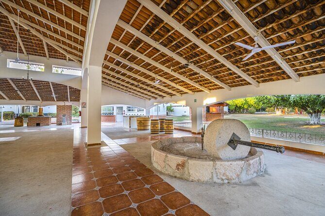 Finca 18 Puerto Vallarta Tequila Tour + Chocolate Pairing - The agave-to-spirit lesson: nursery, distillation, and why small batch matters