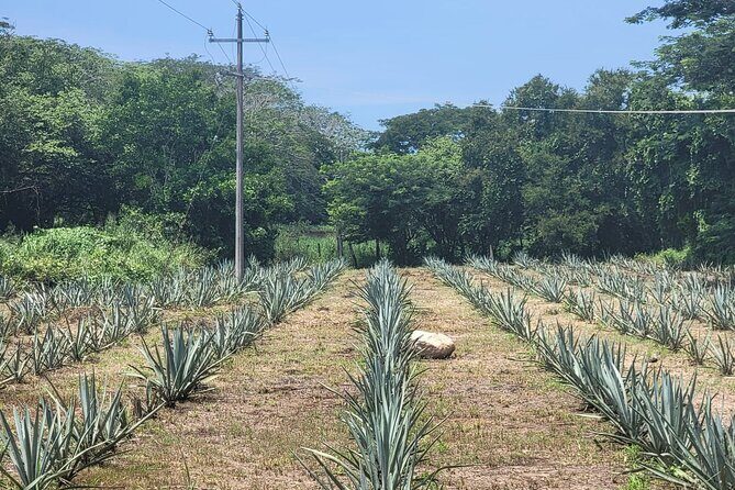 Finca 18 Puerto Vallarta Tequila Tour + Chocolate Pairing - 5+ pours with a sommelier-style tasting class and award-winning chocolate pairing