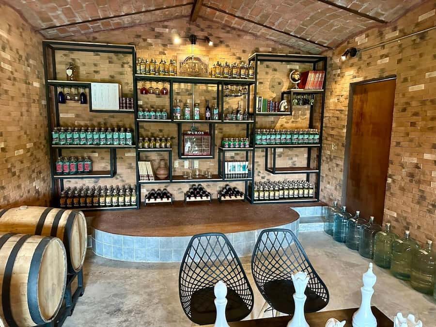 Finca 18 Tequila Tour w/ Chocolate Pairing + Pickup Point - The first 20 minutes: cocktail, fruit, and cold water