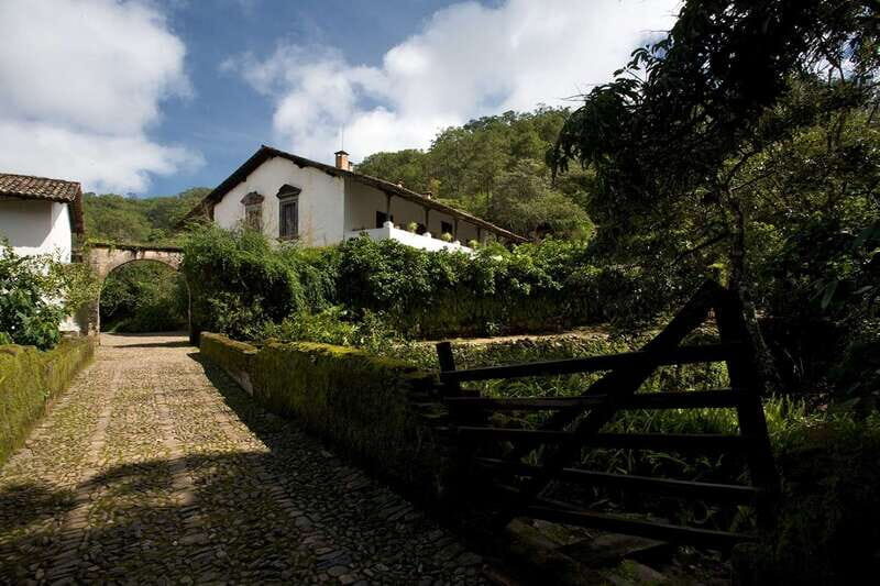 From Puerto Vallarta: Full-Day Tour to San Sebastian - The coffee craft-hacienda stop: what you learn and what you might miss