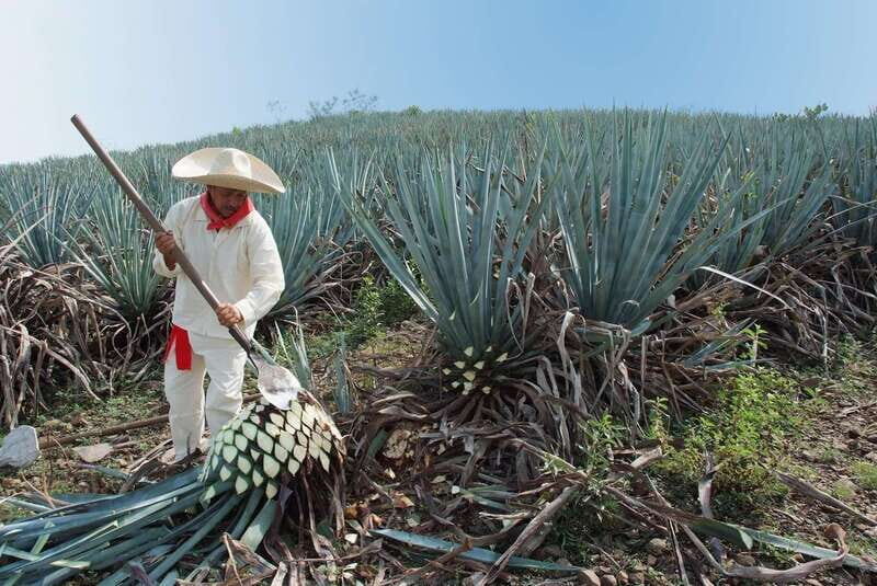 From Puerto Vallarta: Full-Day Tour to San Sebastian - Timing, shopping stops, and how to keep control of your day