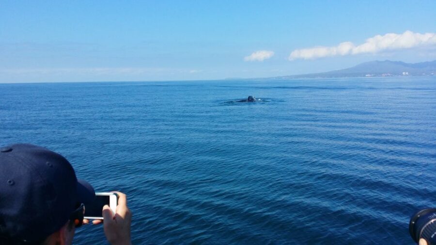From Puerto Vallarta/Nuevo Vallarta: Whale Watching Cruise - Food, drinks, and the onboard comfort that actually matter