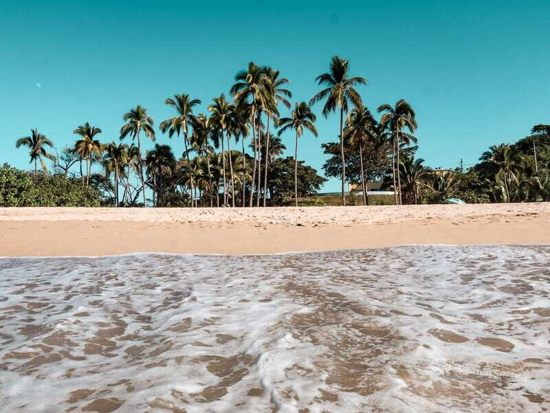 From Puerto Vallarta: San Pancho and Sayulita - Sayulita’s Surf Scene: Bugs, Waves, and People-Watching Time