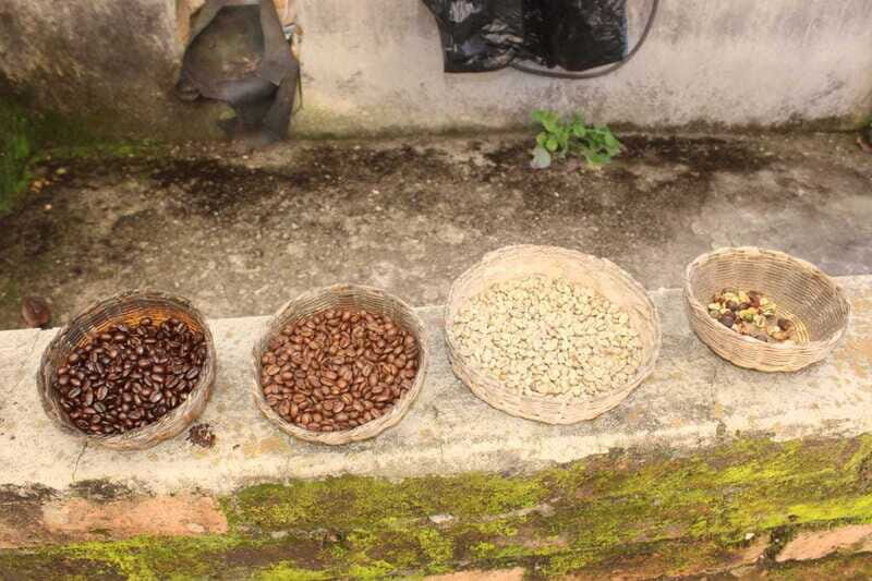 From Puerto Vallarta: San Sebastian del Oeste with Lunch - Key highlights at a glance